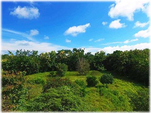 montezuma real estate, personal paradise, land for sale, lots in montezuma, pacific, costa rica, investment