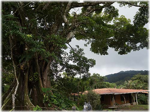 forests, nature, water, off the grid, self sustainable, wildlife, river pools, water, farms, farming,agriculture, monkeys, nature hikes, yoga, reatreat,