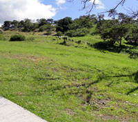 costa rica real estate