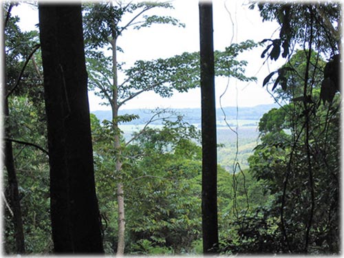 Ocean View Lot