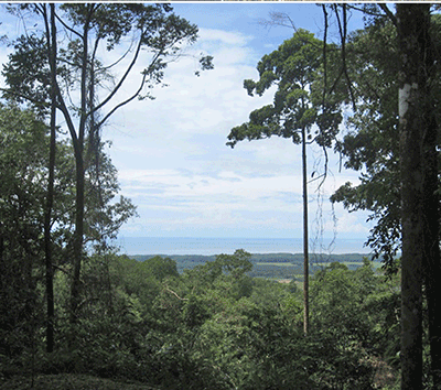 Ocean View Lot