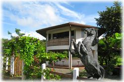  Tamarindo Guanacaste, Tamarindo real estate, Equine estate, horse ranch, horse breeding, gated community, Tamarindo Beach properties