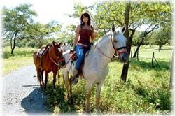  Tamarindo Guanacaste, Tamarindo real estate, Equine estate, horse ranch, horse breeding, gated community, Tamarindo Beach properties