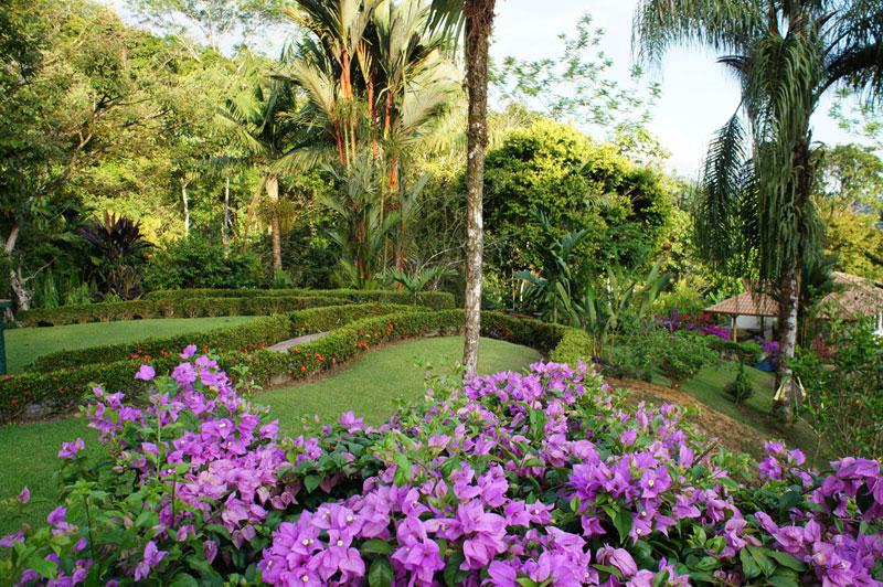 Nature surrounded home for sale near biological reserve, ID CODE: #2355