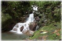 Top Boutique Hotel for sale