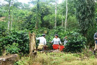 Bird's Eye View: Modern Independent Home Near Pico Blanco